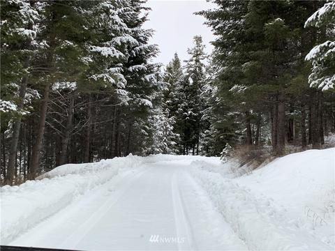 54 Trapline Loop Rd, Oroville, WA 98844 photo 2
