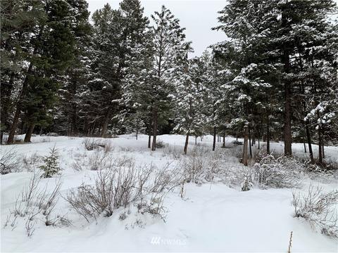 54 Trapline Loop Rd, Oroville, WA 98844 photo 1