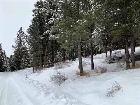 54 Trapline Loop Rd, Oroville, WA 98844 photo 6