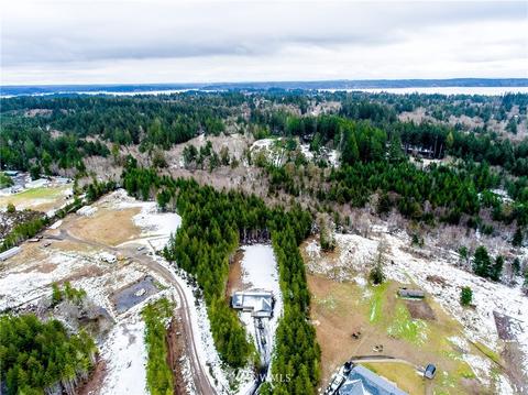 360 E Mclane Cove Dr, Grapeview, WA 98546 photo 36