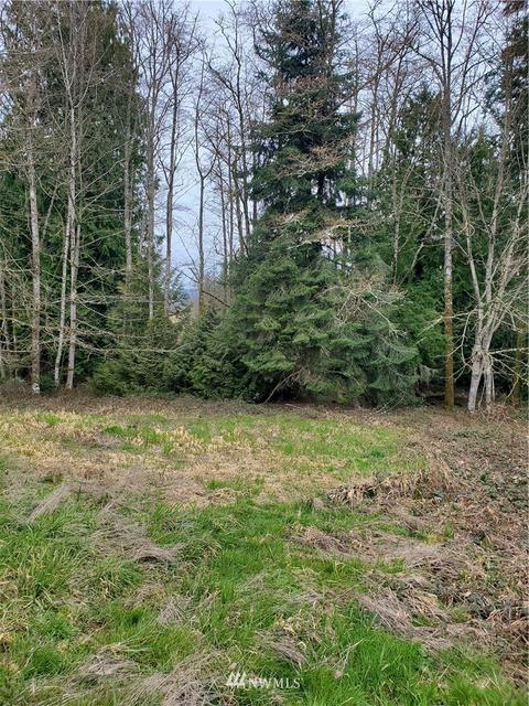 314 Kayli Ct, Napavine, WA 98565 photo 40