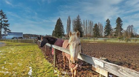 41924 236th Ave SE, Enumclaw, WA 98022 photo 36