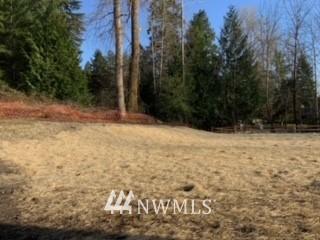 22925 31st Ave SE, Bothell, WA 98021 photo 11