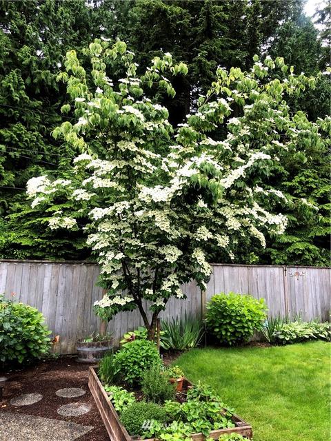 1165 3rd Ave S, Edmonds, WA 98020 photo 27