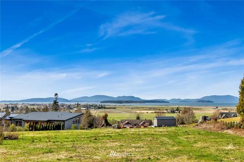 16441 Tree Frog Ln, Bow, WA 98232 photo 38
