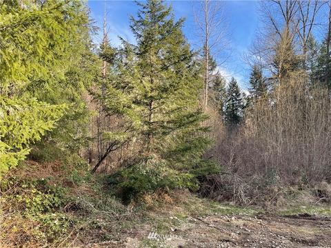 813 Tipsoo Loop S, Rainier, WA 98576 photo 31