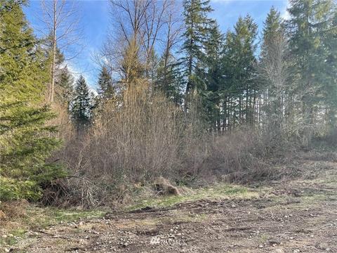 813 Tipsoo Loop S, Rainier, WA 98576 photo 30