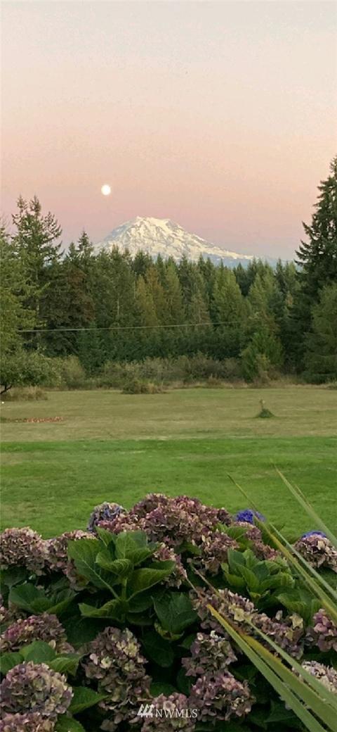 21709 154th Ave E, Graham, WA 98338 photo 3