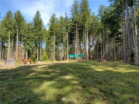 34617 27th Ave E, Roy, WA 98580 photo 33