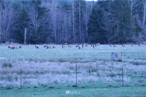 23412 188th St E, Orting, WA 98360 photo 40