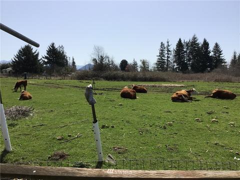 26227 SE 426th St, Enumclaw, WA 98022 photo 40