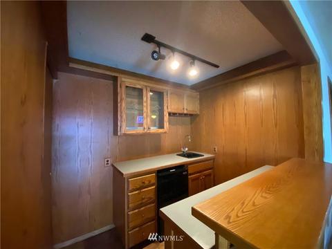 33315 E 3rd Ave, Roy, WA 98580 photo 30