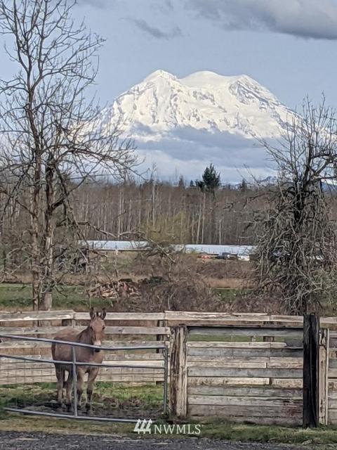 33315 E 3rd Ave, Roy, WA 98580 photo 4