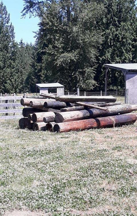 33315 E 3rd Ave, Roy, WA 98580 photo 2