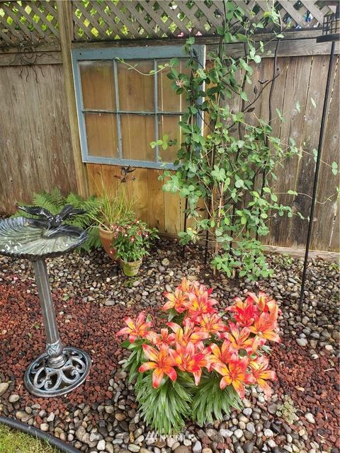 4935 Switchback Loop SE, Lacey, WA 98513 photo 31