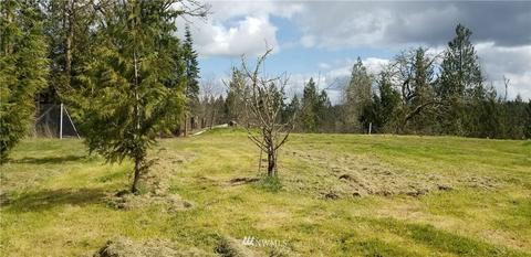 245 Limmer Rd, Winlock, WA 98596 photo 6