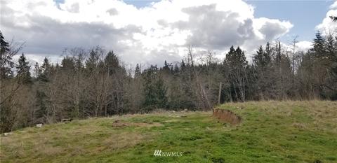 245 Limmer Rd, Winlock, WA 98596 photo 9