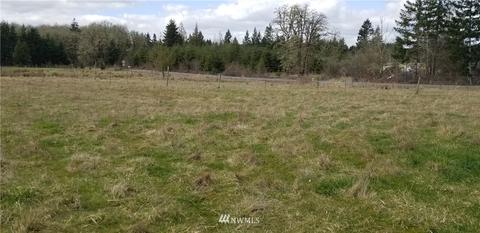 245 Limmer Rd, Winlock, WA 98596 photo 8