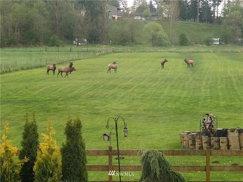19103 SE 400th St, Enumclaw, WA 98022 photo 38