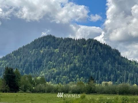 276 Hogan Dr, Enumclaw, WA 98022 photo 2