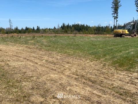 449 Antrim Rd, Winlock, WA 98596 photo 6