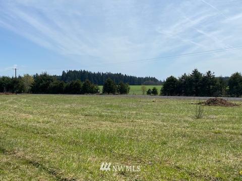 449 Antrim Rd, Winlock, WA 98596 photo 9