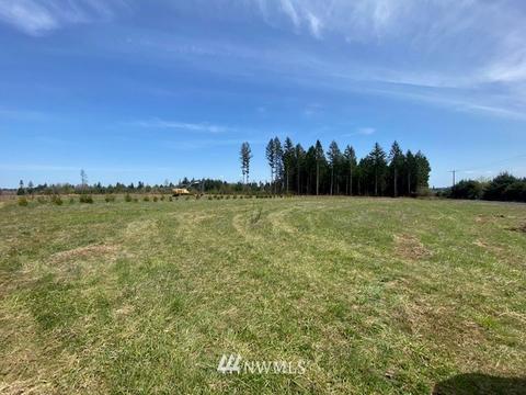 449 Antrim Rd, Winlock, WA 98596 photo 14