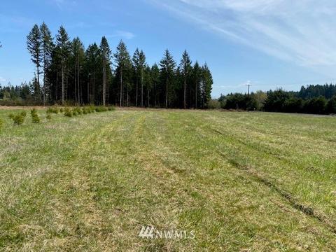 449 Antrim Rd, Winlock, WA 98596 photo 10