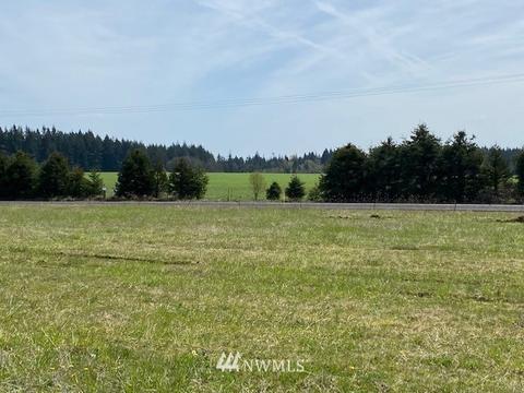 449 Antrim Rd, Winlock, WA 98596 photo 5