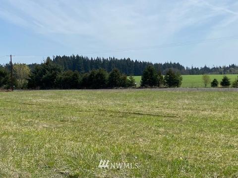 449 Antrim Rd, Winlock, WA 98596 photo 4