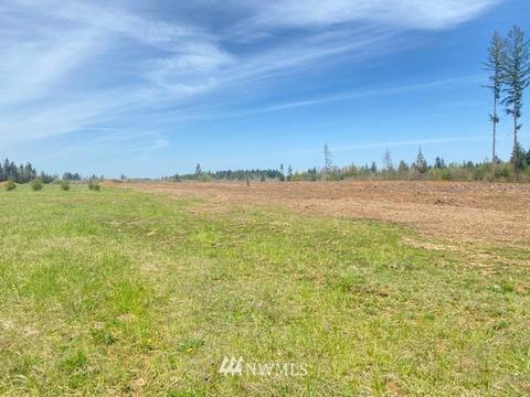 449 Antrim Rd, Winlock, WA 98596 photo 1