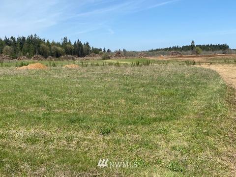 459 Antrim Rd, Winlock, WA 98596 photo 9