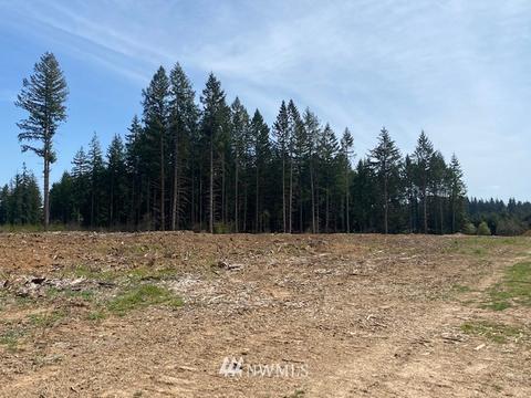 459 Antrim Rd, Winlock, WA 98596 photo 4