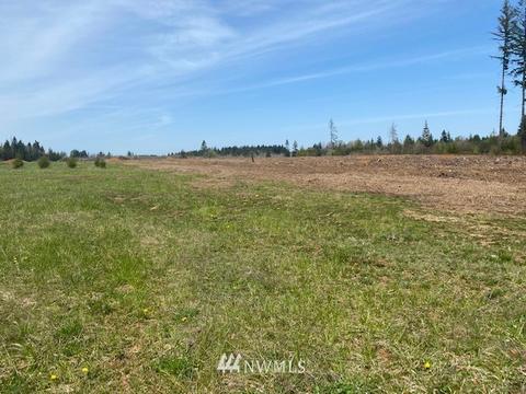 459 Antrim Rd, Winlock, WA 98596 photo 1