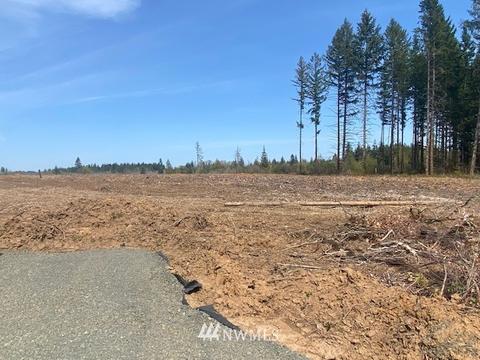 459 Antrim Rd, Winlock, WA 98596 photo 18