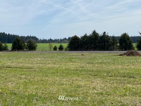 459 Antrim Rd, Winlock, WA 98596 photo 6