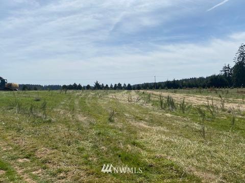 459 Antrim Rd, Winlock, WA 98596 photo 3