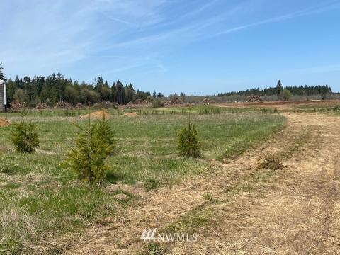 459 Antrim Rd, Winlock, WA 98596 photo 10