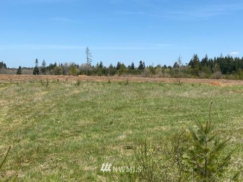 459 Antrim Rd, Winlock, WA 98596 photo 5