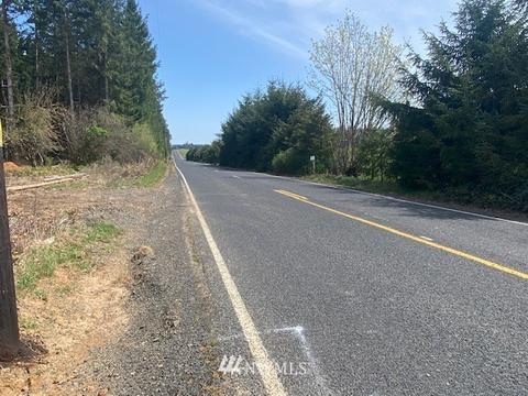 459 Antrim Rd, Winlock, WA 98596 photo 17