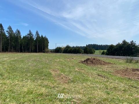 459 Antrim Rd, Winlock, WA 98596 photo 14