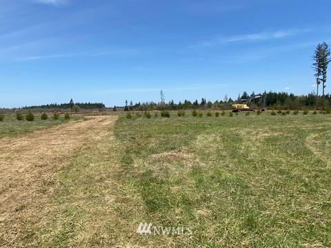 459 Antrim Rd, Winlock, WA 98596 photo 15