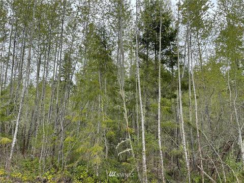 911 Tipsoo Loop N, Rainier, WA 98576 photo 36