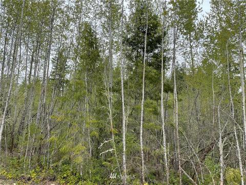 911 Tipsoo Loop N, Rainier, WA 98576 photo 37
