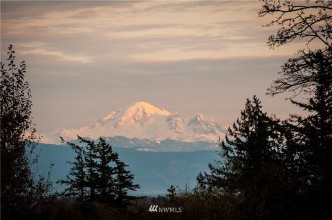 9539 Stein Rd, Custer, WA 98240 photo 40