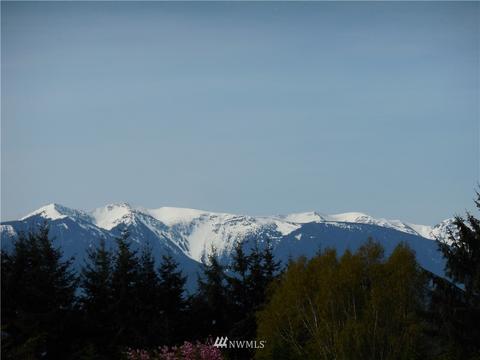 446 Buckhorn Rd, Sequim, WA 98382 photo 2