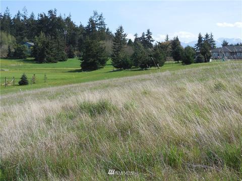 446 Buckhorn Rd, Sequim, WA 98382 photo 4