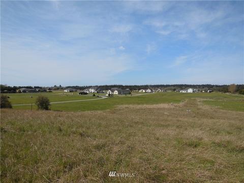 446 Buckhorn Rd, Sequim, WA 98382 photo 6