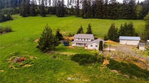 294 Sears Rd, Winlock, WA 98596 photo 32