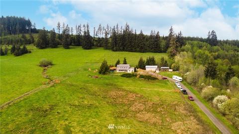 294 Sears Rd, Winlock, WA 98596 photo 30